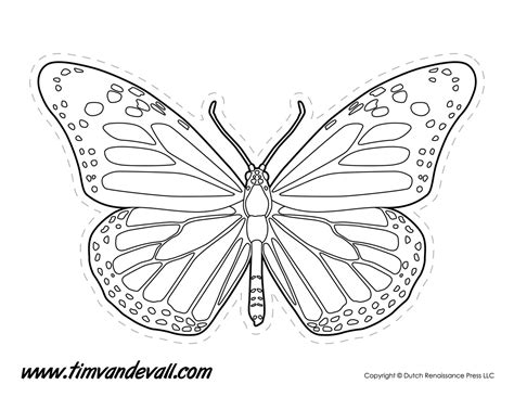 monarch butterfly outline tims printables