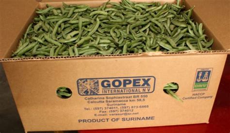 company     gopex international nv caribbean agri business