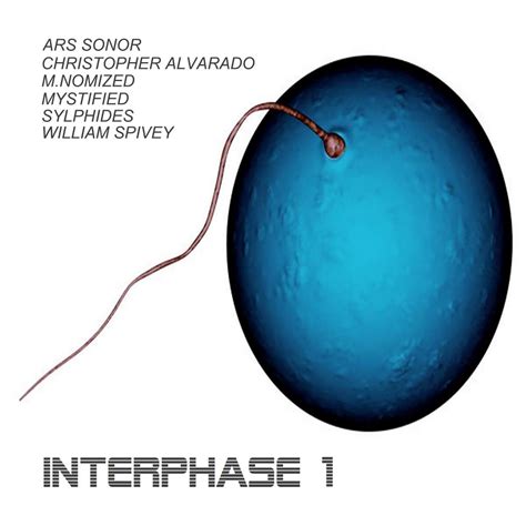 interphase