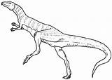 Coelophysis Comments Coloring sketch template