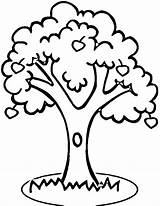 Tree Coloring Clipart Clip Fruit sketch template