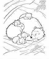 Coloring Bear Pages Animals Sleeping Hibernating Little Kids Big Animal Woods Wild House Brown Color Drawing Den Printable Sheet Smokey sketch template