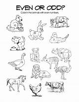 Odd Even Worksheets Numbers Number Kids Coloring Activity Printouts Worksheet Pages Esl Printable Color Animals Via Activityshelter Squareheadteachers Getcolorings Printablecolouringpages sketch template