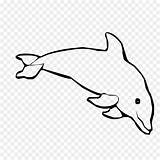 Dolphin Lumba Spinner Delfin Bottlenose Dolphins Animado Mewarnai Webstockreview Hiclipart sketch template