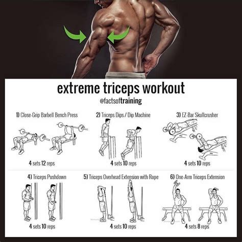 exercises for huge triceps