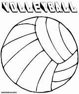 Volleyball Drawing Coloring Pages Getdrawings sketch template