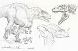 Acrocanthosaurus Sketch Compiler Coloring Deviantart Allosaurus Ltl Template sketch template