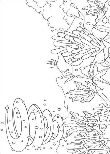 kids  funcom  coloring pages  rainbow fish