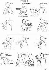 Makaton Sign Printable Language Signs Learn Basic Symbols British Phrases Alphabet Creative Chart Words Stage Printables Project Google Baby Simple sketch template