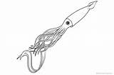 Squid Coloring Line Pages Printable Adults Kids sketch template