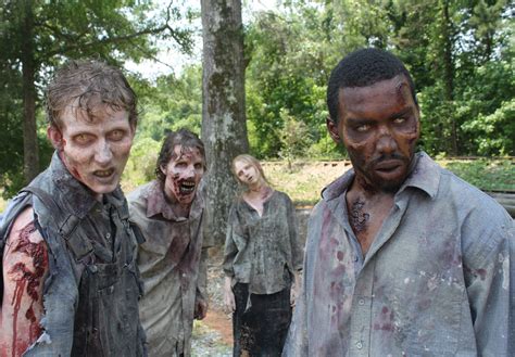 zombie tv show  walking dead hd wallpaper