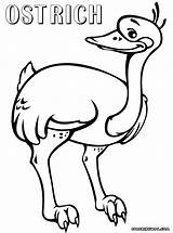 Ostrich Coloring Pages Colorings sketch template