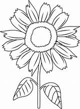 Sunflower Coloring Clipart Sunflowers Pages Clip Flower Color Diagram Drawing Simple Cliparts Adults Printable Kids Print Sunny Smile Sun Unlabeled sketch template