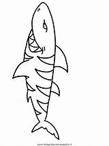 Shark Squalo Squali Haie sketch template