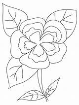 Coloring Camellia Flower Pages Designlooter Recommended Flowers sketch template