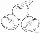 Apfel Manzanas Malvorlagen Fruits Cool2bkids Apples Manzana sketch template