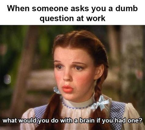 Fair Response Funny Memes About Work Work Humor Best