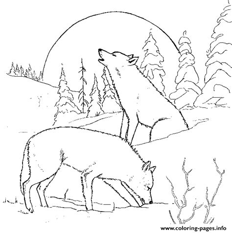 wolf   adults coloring page printable