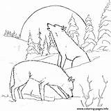 Wolf Coloring Pages Adults Printable Animal Wolves Print Color Detailed Adult Moon Wild Stencil Sheets Colouring Prints Kids раскраски Gif sketch template