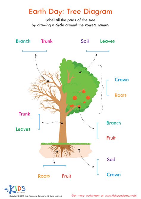recunoscut noutate de mai sus tree planting diagram polenizator cada