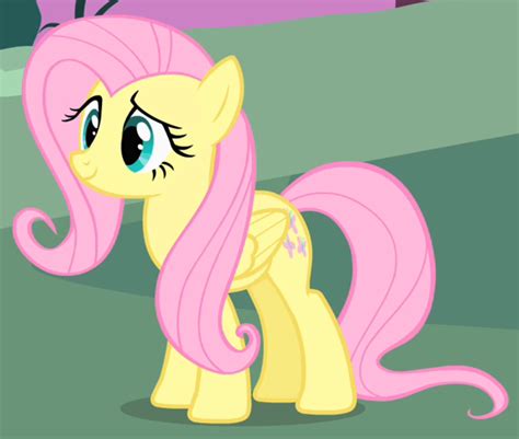 fluttershy   pony friendship  magic wiki fandom powered  wikia