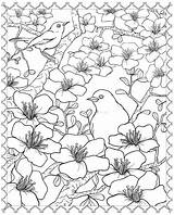 Blossom Coloring Cherry Pages Tree Flower Japanese Dover Designs Publications Drawing 3d Flowers Lips Adult Sheet Doverpublications Getdrawings Kissing Welcome sketch template