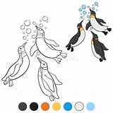 Swim Penguins sketch template