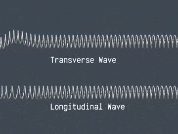 longitudinal wave gifs find share  giphy