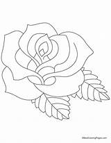 Coloring Rose Pages Drawing Flower Artificial Roses Petal Printable Gladiolus Colouring Easy Bestcoloringpages Adult Drawings Getdrawings Keyword Tattoo Book Popular sketch template