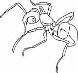 Ants Coloring Marching Pages sketch template