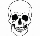 Skull Drawing Line Human Clipart Clipartmag Coloring Book sketch template
