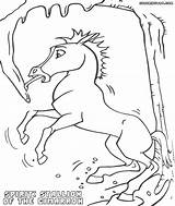 Spirit Cimarron Coloring Pages Colorings sketch template
