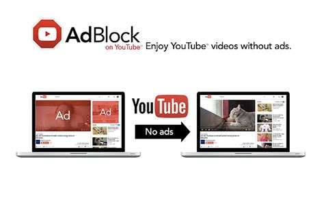 adblock  youtube chrome web store