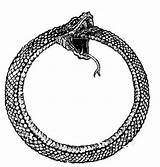 Ouroboros Snake sketch template