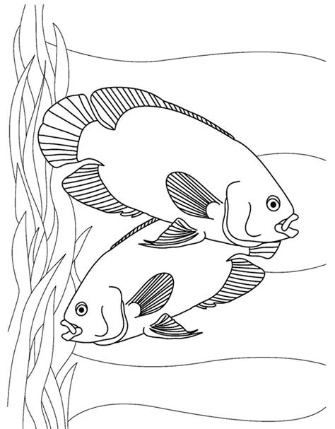 aquarium fish oscars printable kids coloring sheet httpwwwkidscp