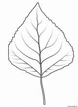 Aspen Leaf Quaking Coloring Printable Pages sketch template