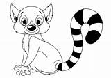 Lemur Lemurs sketch template
