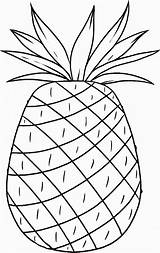 Coloring Luau Pineapple Pages Hawaii Printable Cayenne Smooth Color Hawaiian Template Print Beaches Popular Coloringhome Library Clipart sketch template