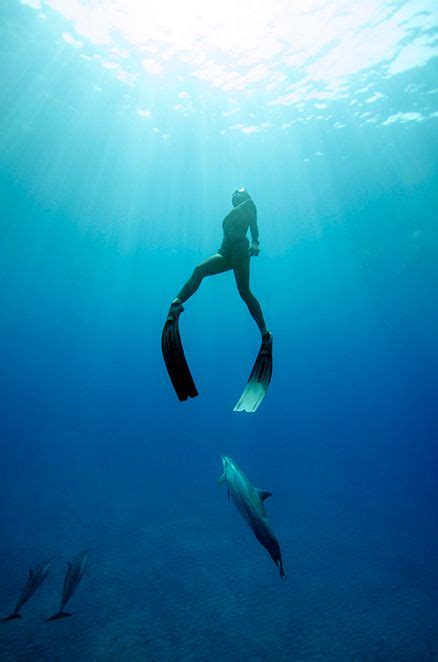 freedivers capture mesmerizing underwater photos in ‘one ocean one breath underwater photos