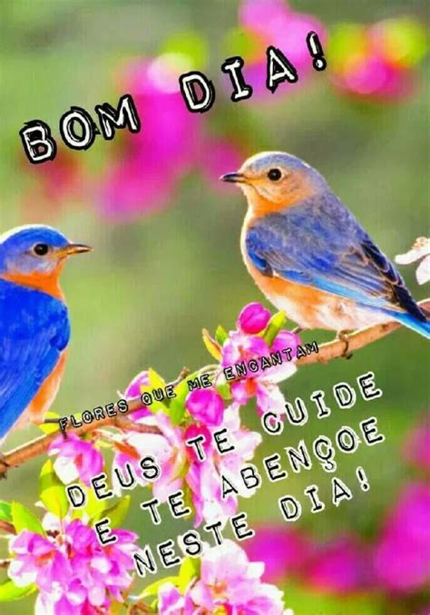 90 Mogis De Bom Dia E Frases Mais Linda Da Net É Mesmo Engraçado