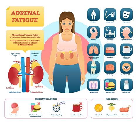 Adrenal Fatigue Symptoms And Treatment – Rocketfacts