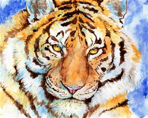 tiger watercolor test  cola  deviantart