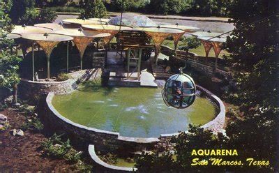 aquarena springs   texas weird  research center  texican