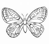 Motyl Kolorowanka sketch template