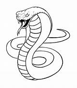 Cobra Drawing Schlange Kobra Ular Outline Mewarnai Serpent Serpiente Schlangen Coloringpagesfortoddlers Dibujar Zeichnen Serpientes Serpente Serpenti Ausmalen Tiere Cobras Kinder sketch template