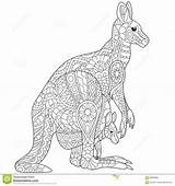 Kangaroo Zentangle Aboriginal Stylized Freehand Canguro Colouring Doodle Kangourou Wallaby Colorear Cub Mammals Historieta Zorro Salvaje Estilizadas Redirect Viglink Myloview sketch template
