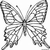 Papillon Imprimé sketch template