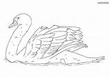 Animals Birds sketch template