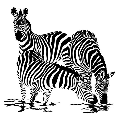 drawings zebra animals page  printable coloring pages