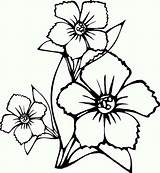 Flower Coloring Draw Flowers Kids Color sketch template